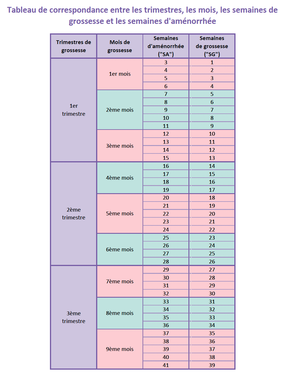 tableau semaines d'amenorrhée